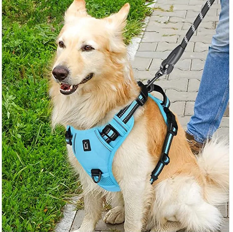 The Shedwell Frontline — No-Pull Dog Harness with Front Clip & Control Handle
