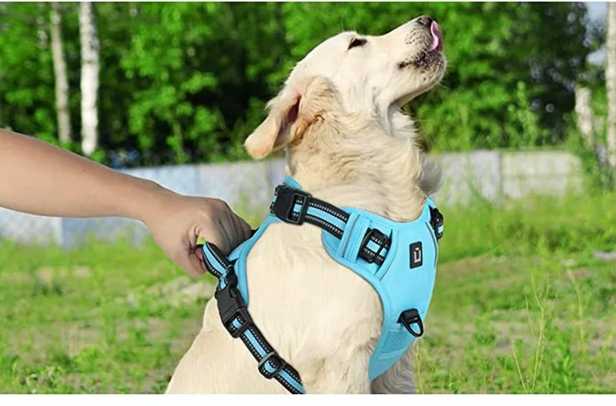 The Shedwell Frontline — No-Pull Dog Harness with Front Clip & Control Handle